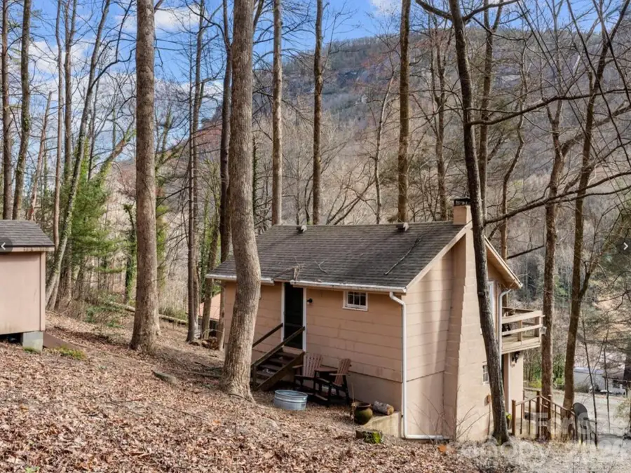 124 Buena Vista Road, Chimney Rock, NC 28720 - #2