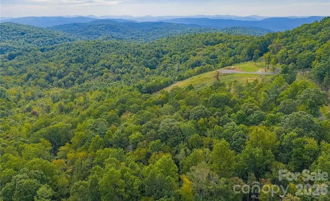 49 Wildcat Wilderness Parkway, Deep Gap, NC 28618 - #1