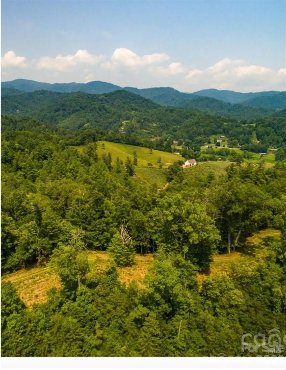 Lot 2, 4, 9-13, 15, 20-22 The Vines Boulevard, Marshall, NC 28753 - #1