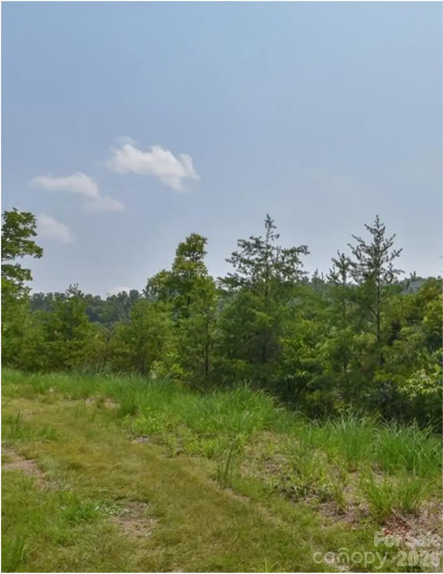 Lot 2, 4, 9-13, 15, 20-22 The Vines Boulevard, Marshall, NC 28753 - #3