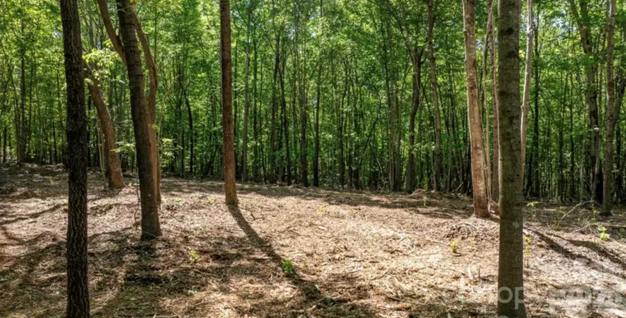 00 Stikeleather Road #lot 2, Millers, NC 28678 - #3