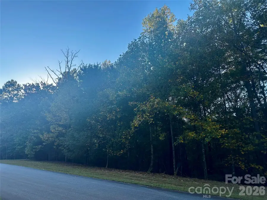 Lot 123 Heartwood Drive, Marion, NC 28752 - #3