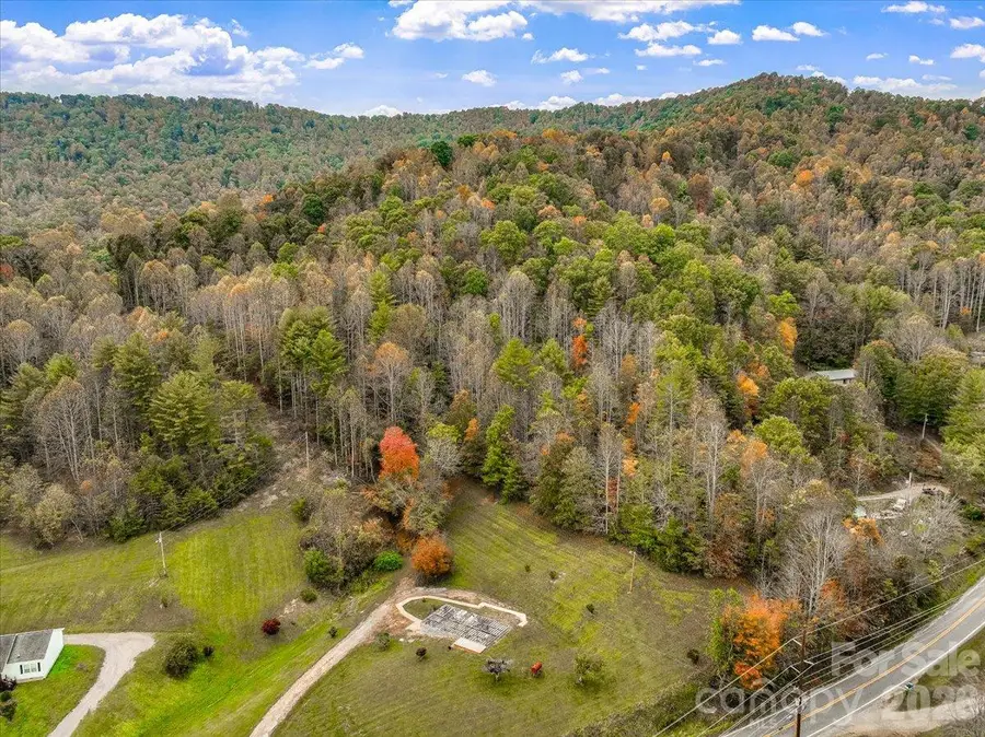 3045 Double Island Road, Green Mountain, NC 28740 - #3