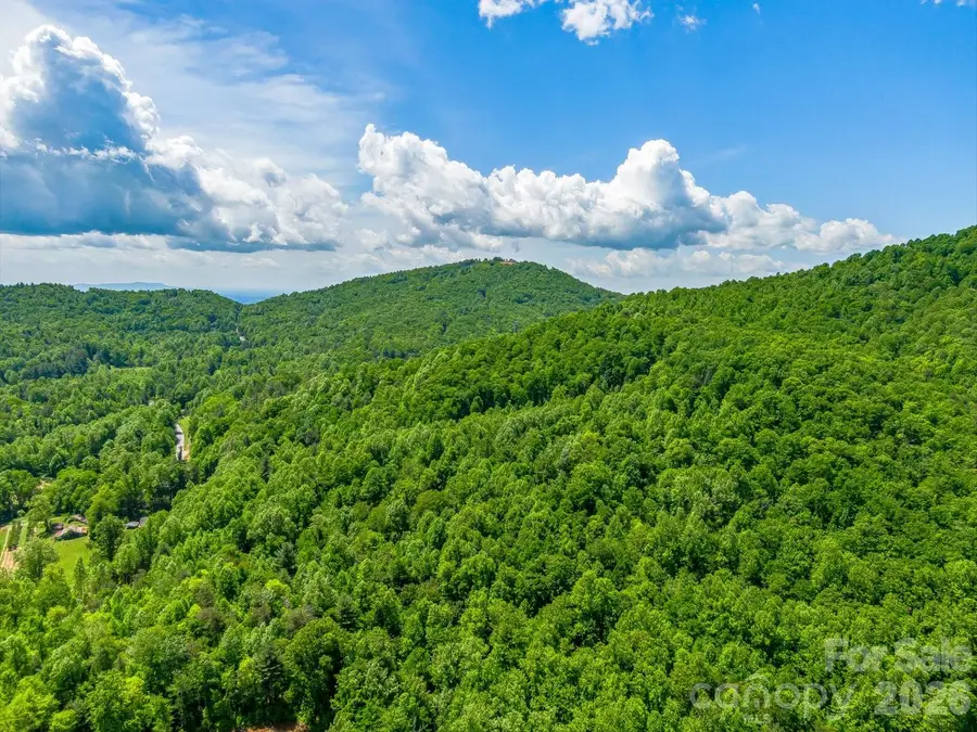 336A S Bobs Creek Road, Zirconia, NC 28790 - #3