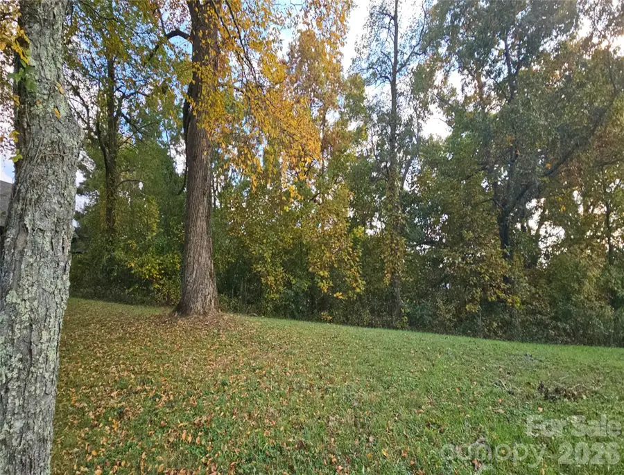 56 N Snow Ridge Drive #9, Hendersonville, NC 28792 - #2