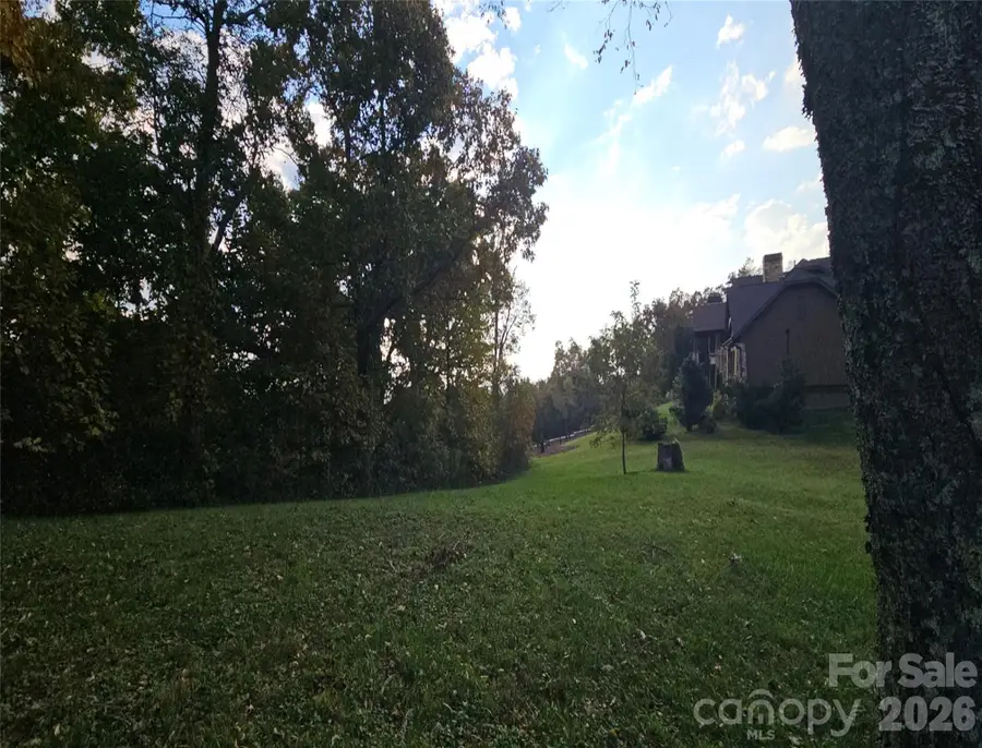 56 N Snow Ridge Drive #9, Hendersonville, NC 28792 - #3