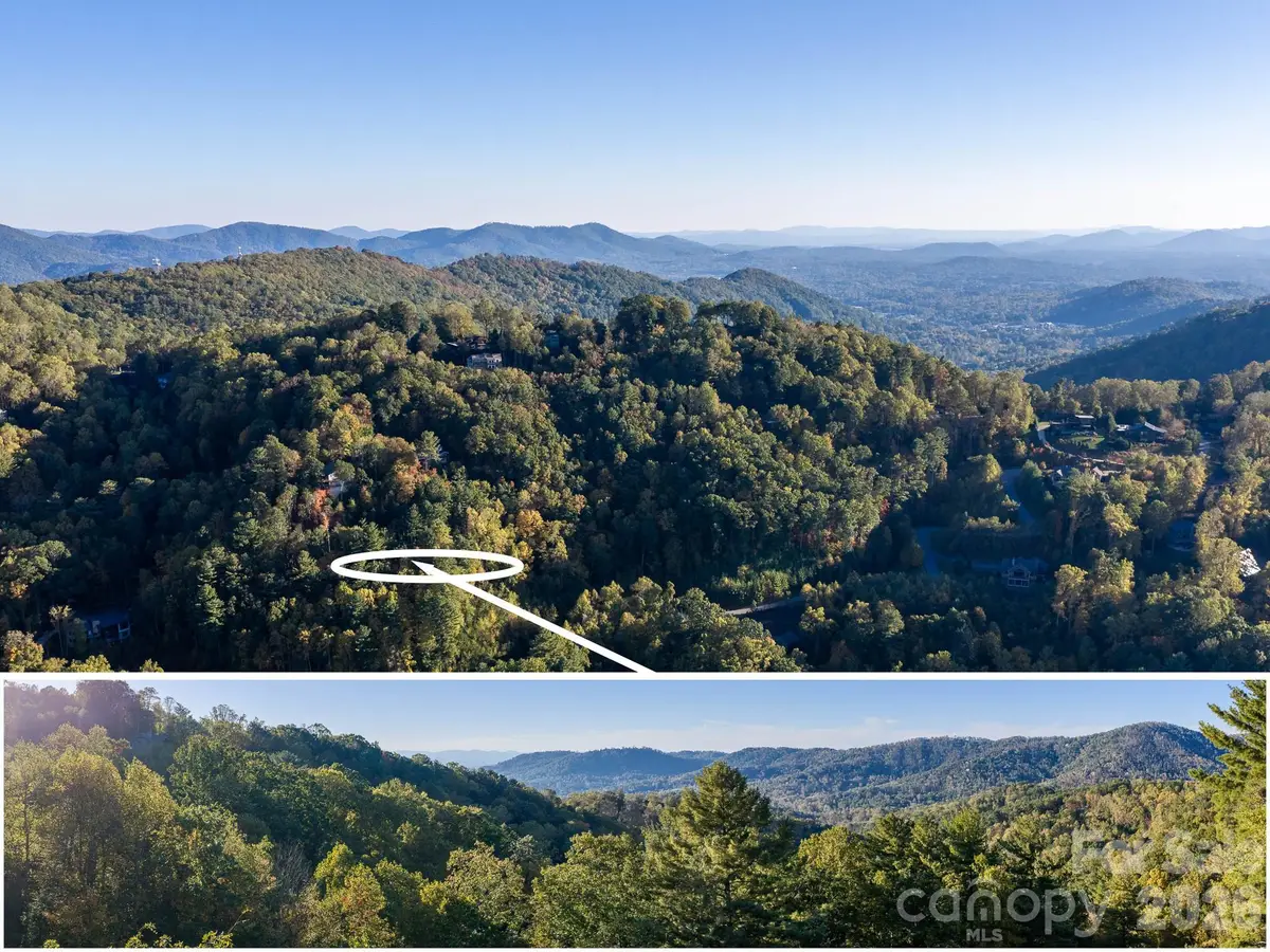 55 Bartrams Walk Drive, Asheville, NC 28804 - #1