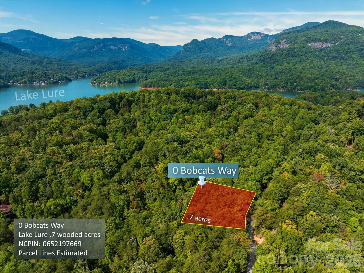 0 Bobcat Way, Lake Lure, NC 28746 - #1