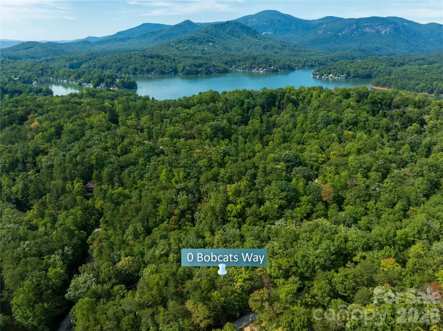 0 Bobcat Way, Lake Lure, NC 28746 - #2