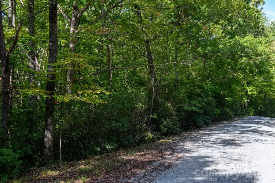 0 Bobcat Way, Lake Lure, NC 28746 - #3