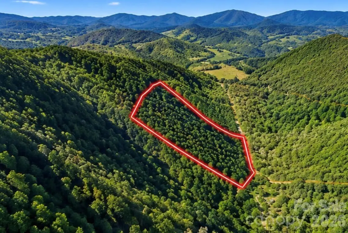 1930 Ball Branch Road, Boone, NC 28607 - #1