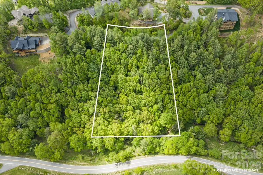 Lot 38 White Fox Lane #38, Banner Elk, NC 28604 - #2