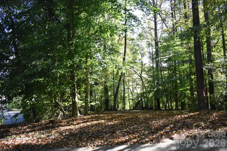 0 General Griffith Circle #29, Rutherfordton, NC 28139 - #2