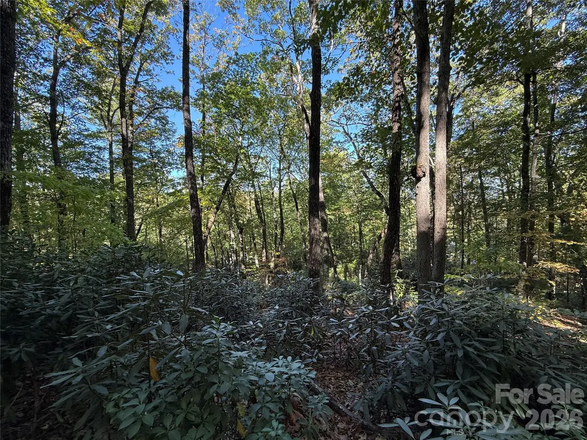 Lot 81 - R Kenmure Drive, Flat Rock, NC 28731 - #1