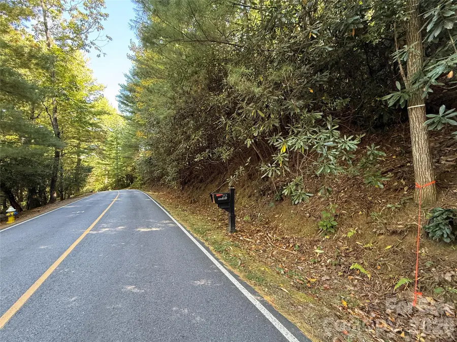 Lot 81 - R Kenmure Drive, Flat Rock, NC 28731 - #2
