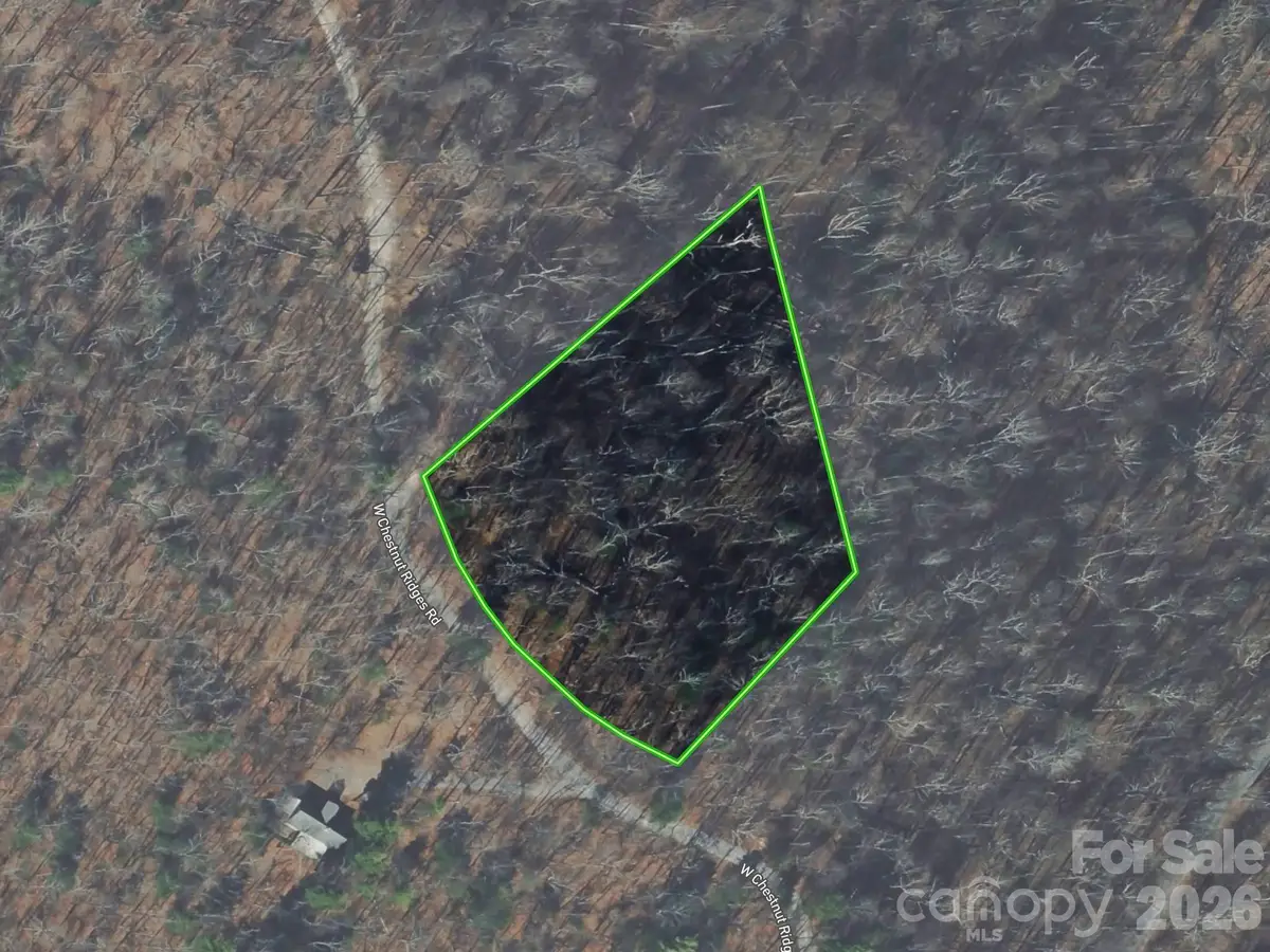 Lot 7 W Chestnut Ridges Road #7, Hendersonville, NC 28739 - #1