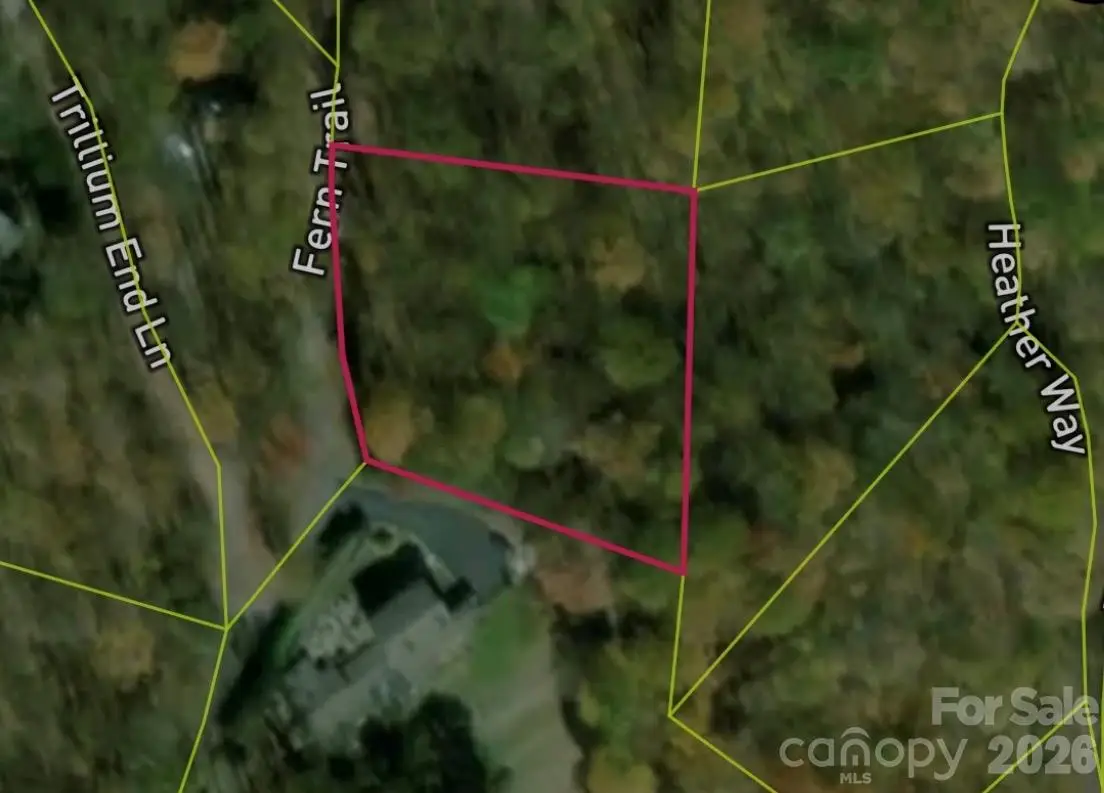 13 Fern Trail, Waynesville, NC 28786 - #1