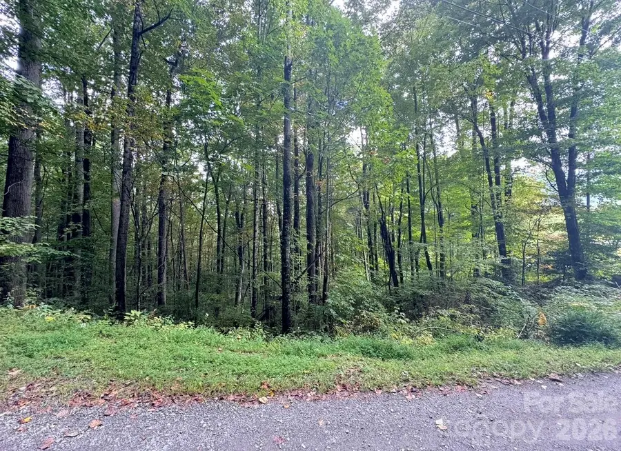 13 Fern Trail, Waynesville, NC 28786 - #2