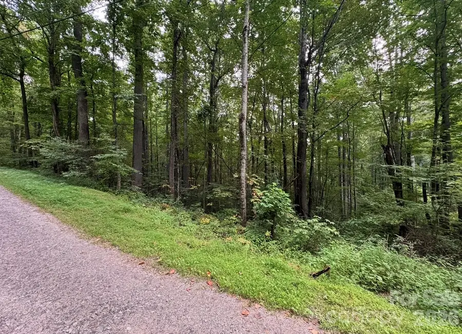 13 Fern Trail, Waynesville, NC 28786 - #3