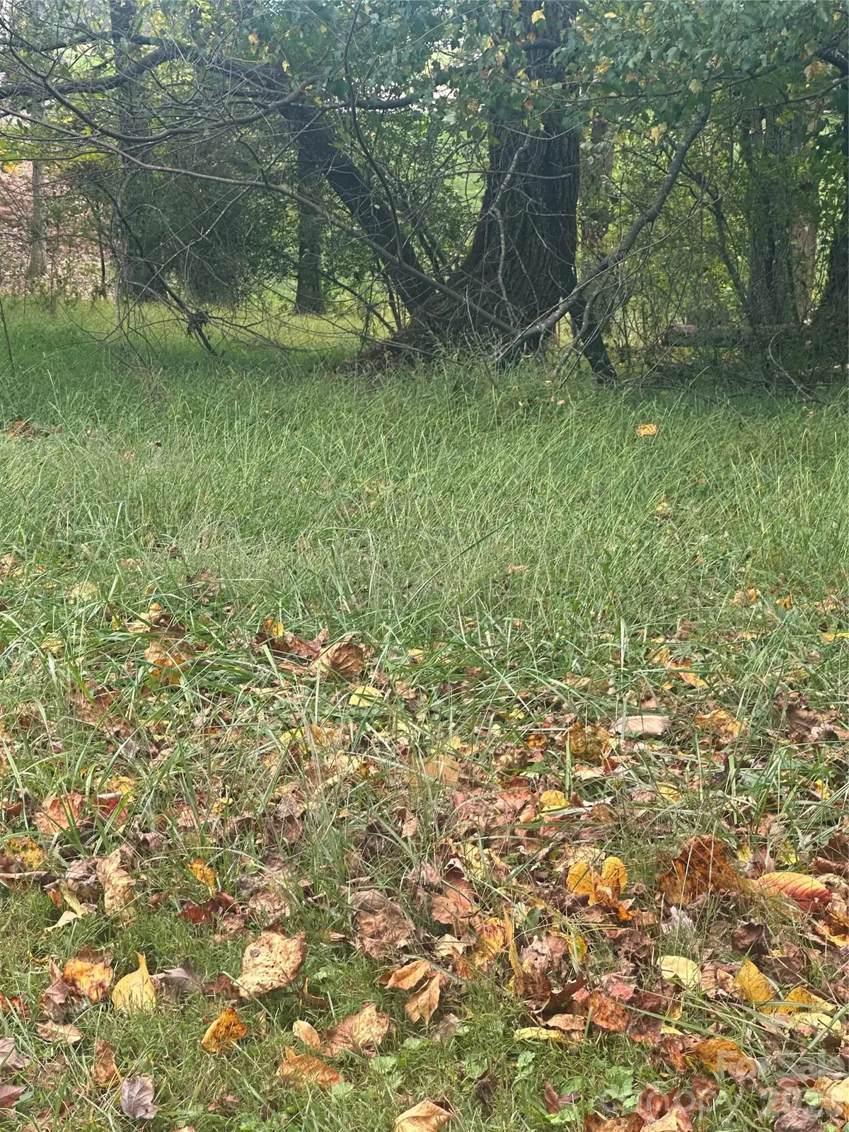 Lot 121 Friar Court #121, North Wilkesboro, NC 28659 - #1