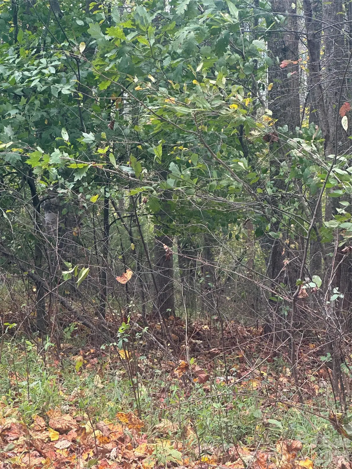 Lot 120 Friar Court #120, North Wilkesboro, NC 28659 - #1