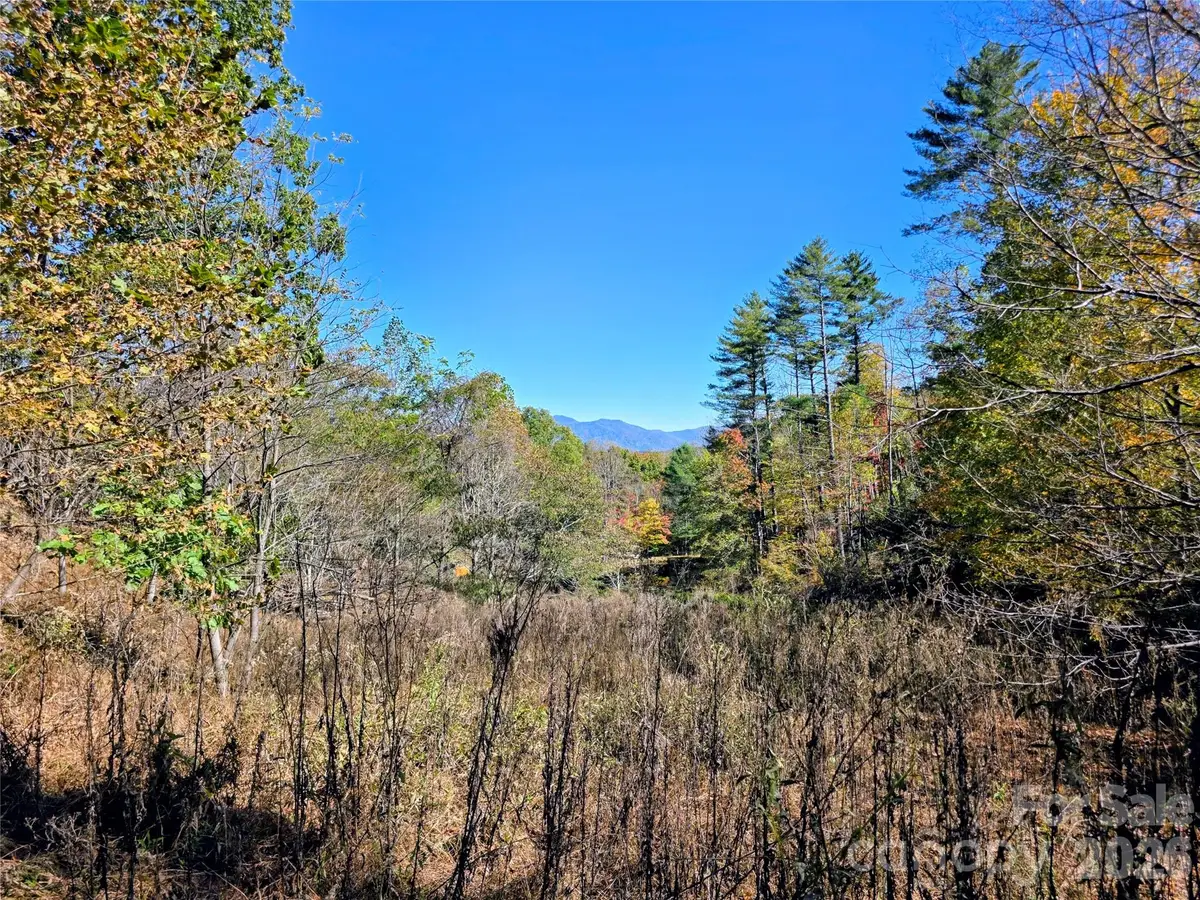 00 Big Brush Creek Road, Green Mountain, NC 28740 - #1