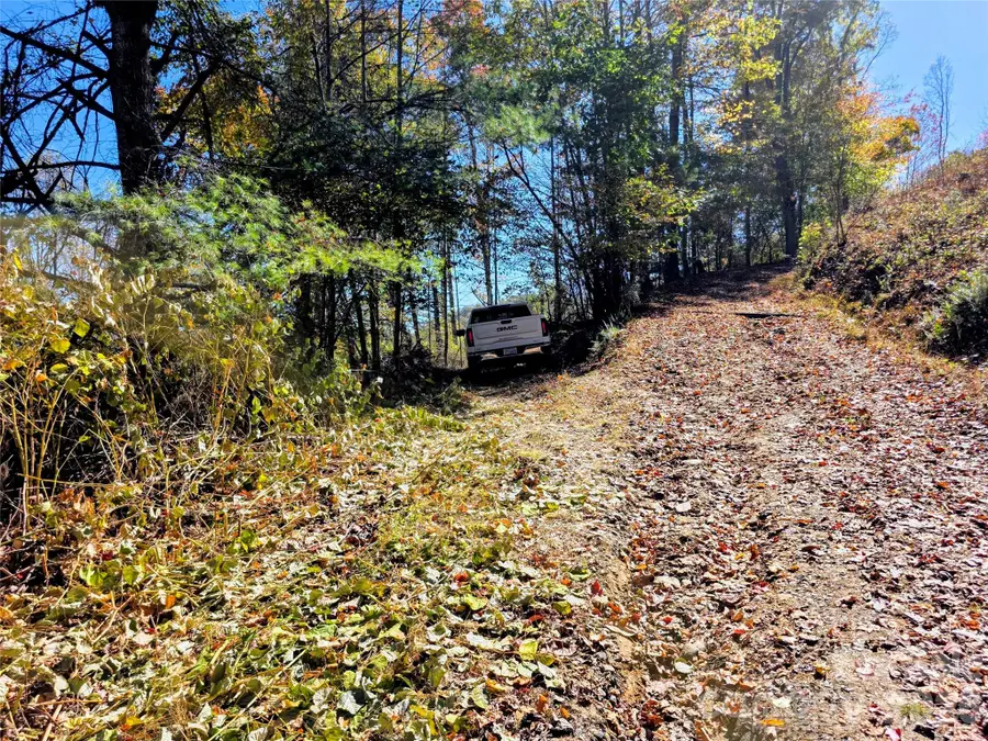 00 Big Brush Creek Road, Green Mountain, NC 28740 - #3