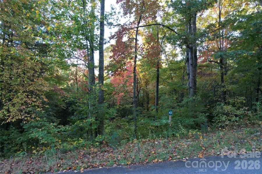 315 Silverglen Way #42, 40, 36, Hendersonville, NC 28792 - #3