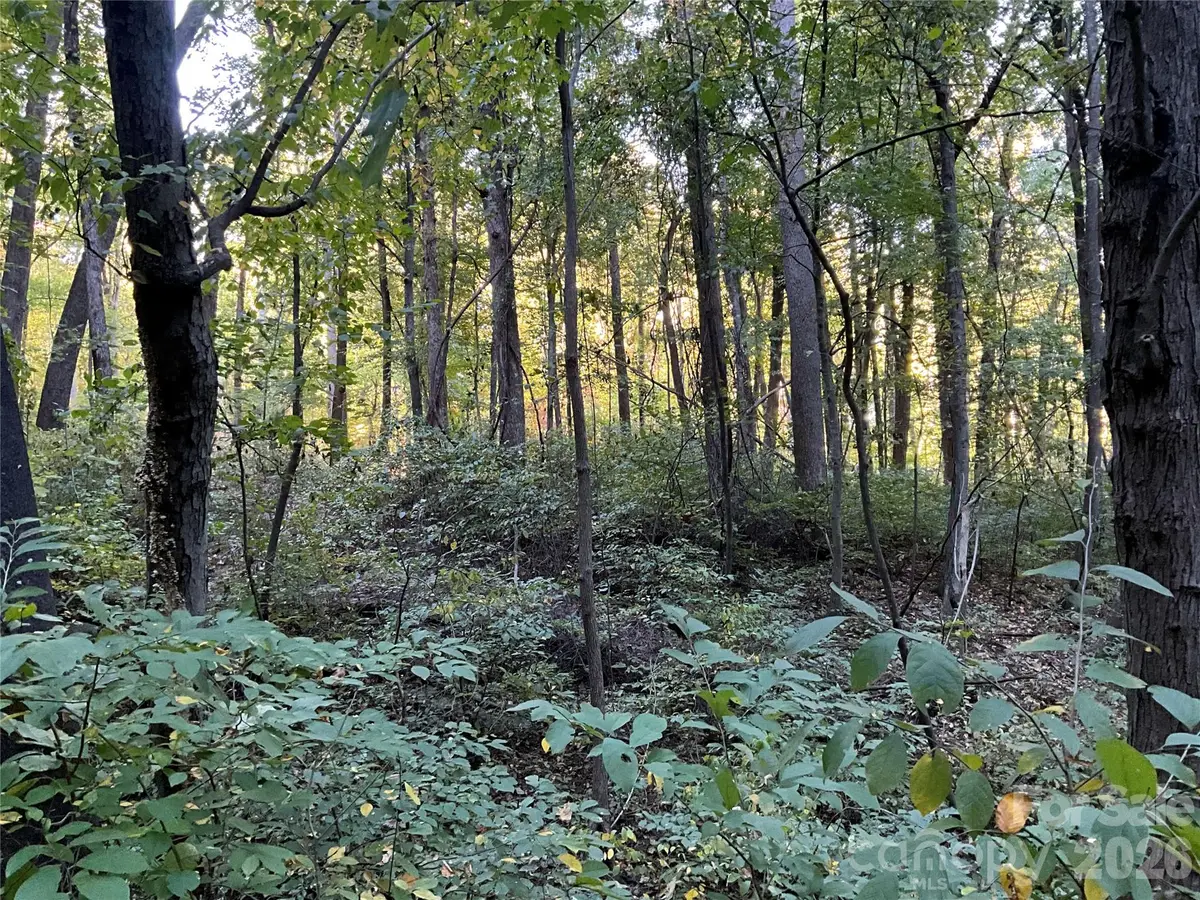 Lot 332/333 Bolt Road, Lake Lure, NC 28746 - #1