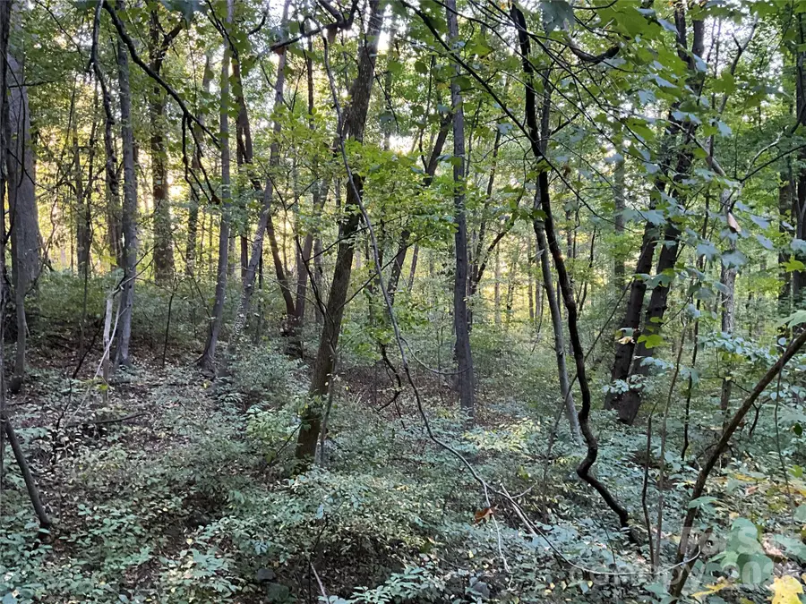 Lot 332/333 Bolt Road, Lake Lure, NC 28746 - #3