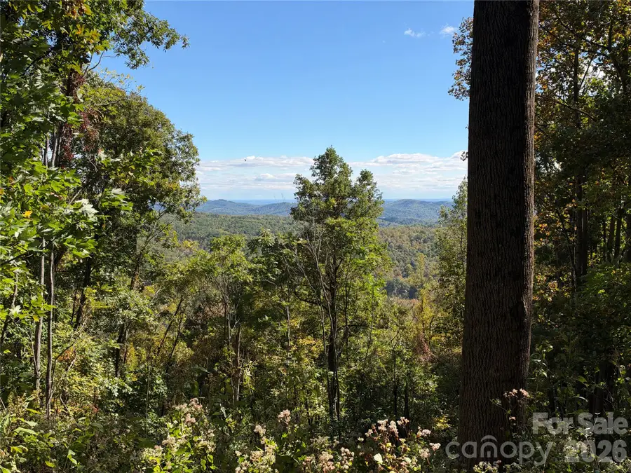 TBD Vannoy Road, Moravian Falls, NC 28654 - #2