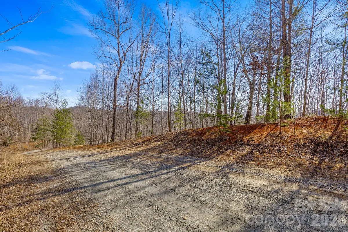00 Champagne Ridge, Lake Lure, NC 28746 - #1