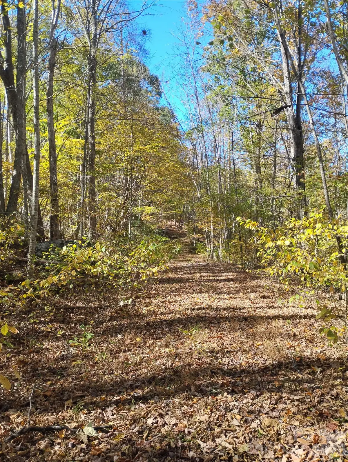 000 Dora Lane, Bakersville, NC 28705 - #1