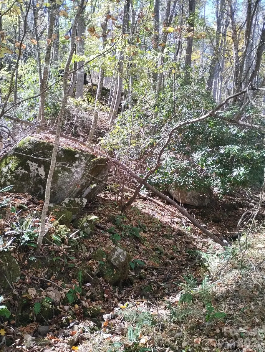000 Dora Lane, Bakersville, NC 28705 - #3