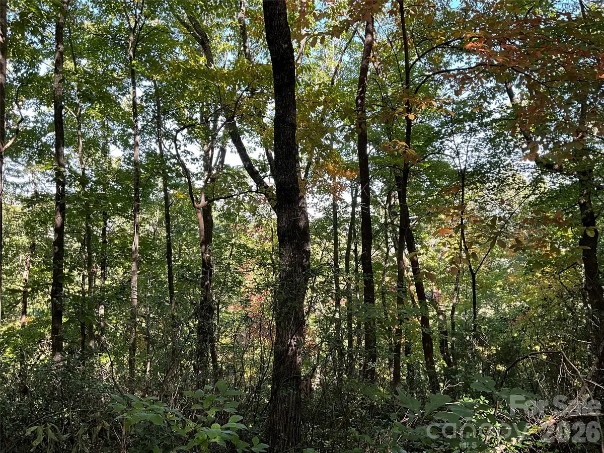 Lot 88 Bolt Road, Lake Lure, NC 28746 - #1