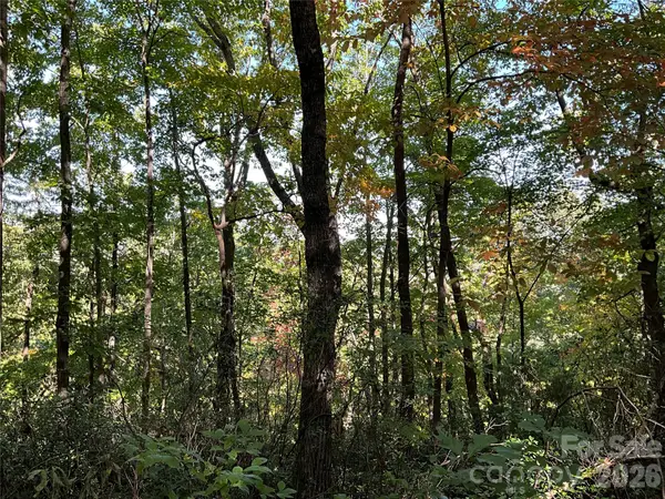 Lot 88 Bolt Road, Lake Lure, NC 28746