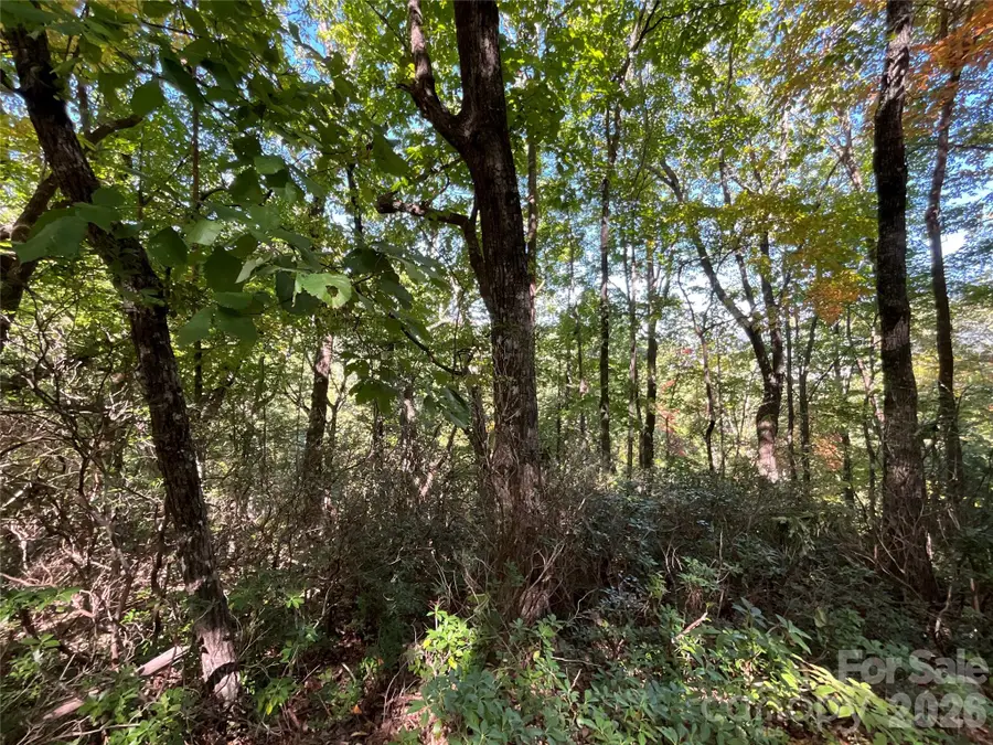 Lot 88 Bolt Road, Lake Lure, NC 28746 - #2