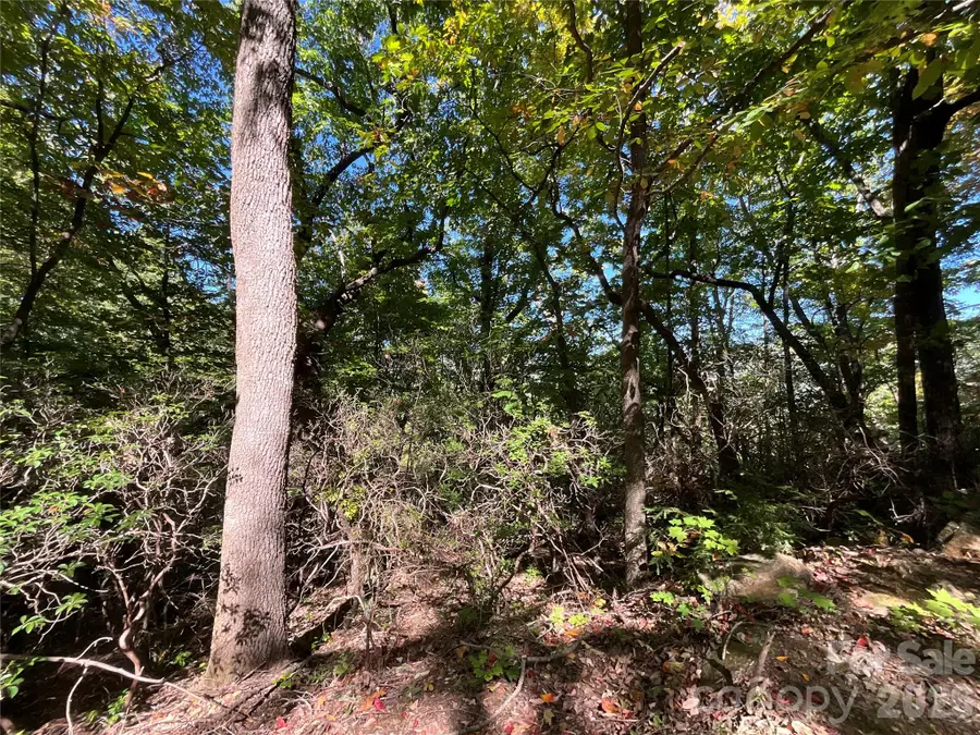 Lot 88 Bolt Road, Lake Lure, NC 28746 - #3