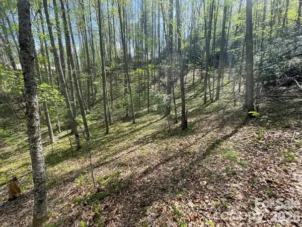 0000 Cawood Lane, Clyde, NC 28721