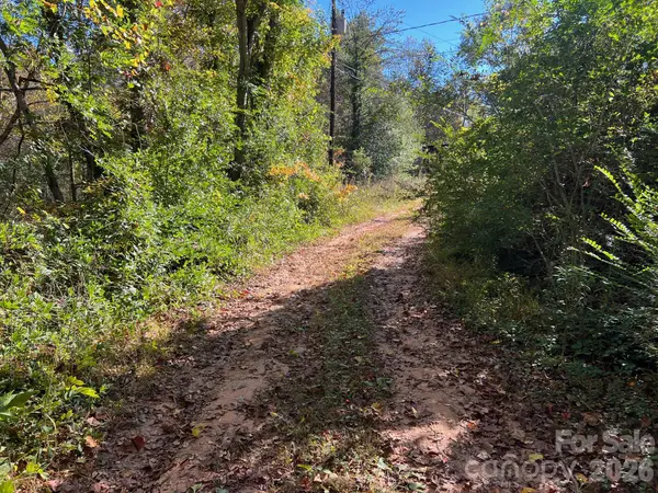 0 Pea Patch Lane #4, Morganton, NC 28655