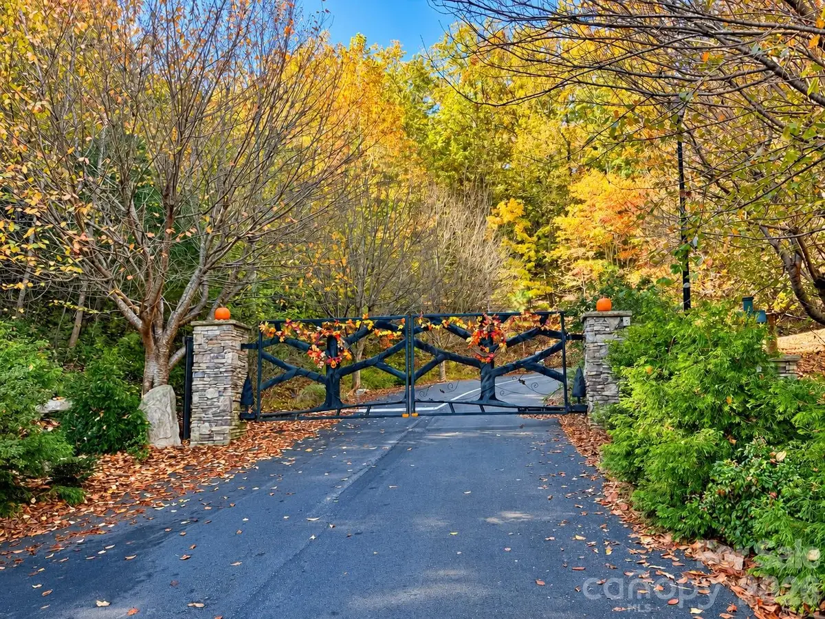 Lot 45 Peseco Drive #45, Bostic, NC 28018 - #1