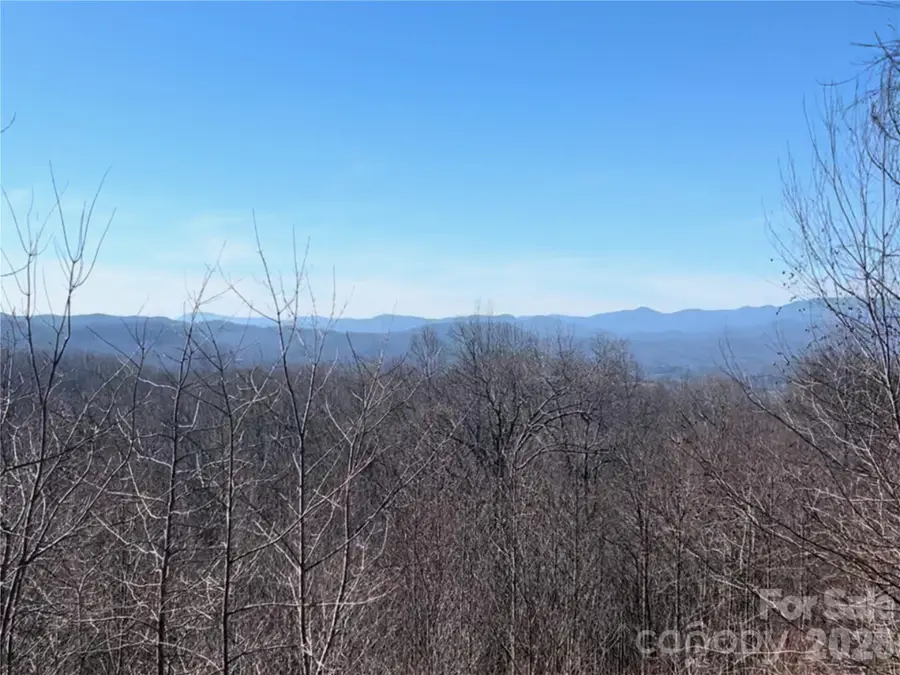 370 Somersby Parkway, Laurel Park, NC 28739 - #2