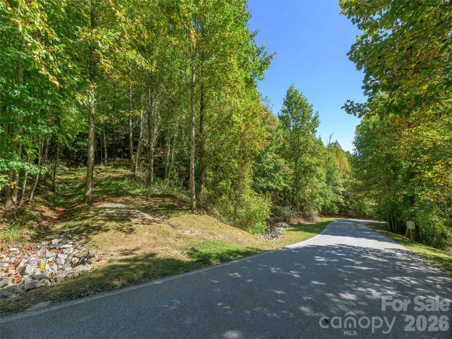 370 Somersby Parkway, Laurel Park, NC 28739 - #3