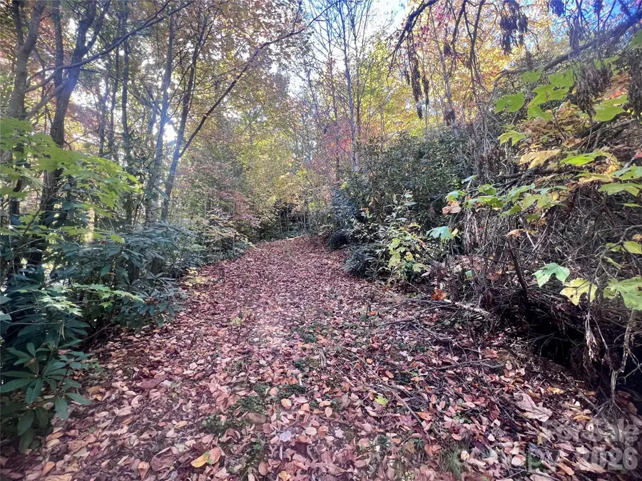 9 Settings Boulevard #36, Black Mountain, NC 28711 - #3
