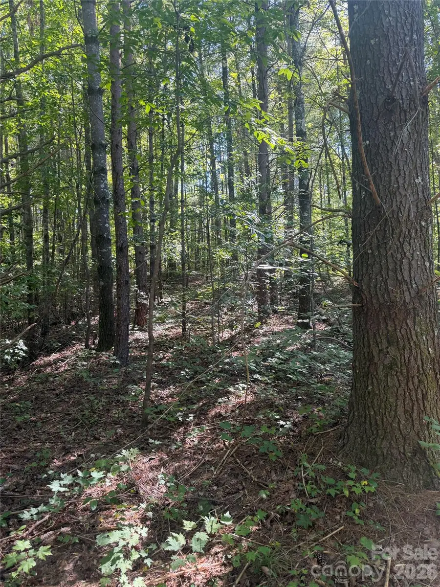 1264 Old Neal Road #2, Marion, NC 28752 - #2