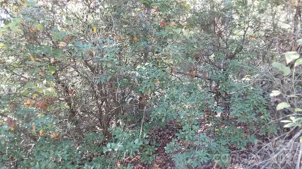 00 Sparrows Way, Lake Lure, NC 28746