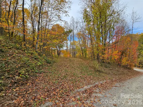 00 Sacred Cove Drive #1, Clyde, NC 28721