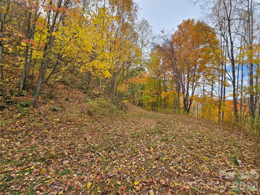 00 Sacred Cove Drive #1, Clyde, NC 28721 - #3