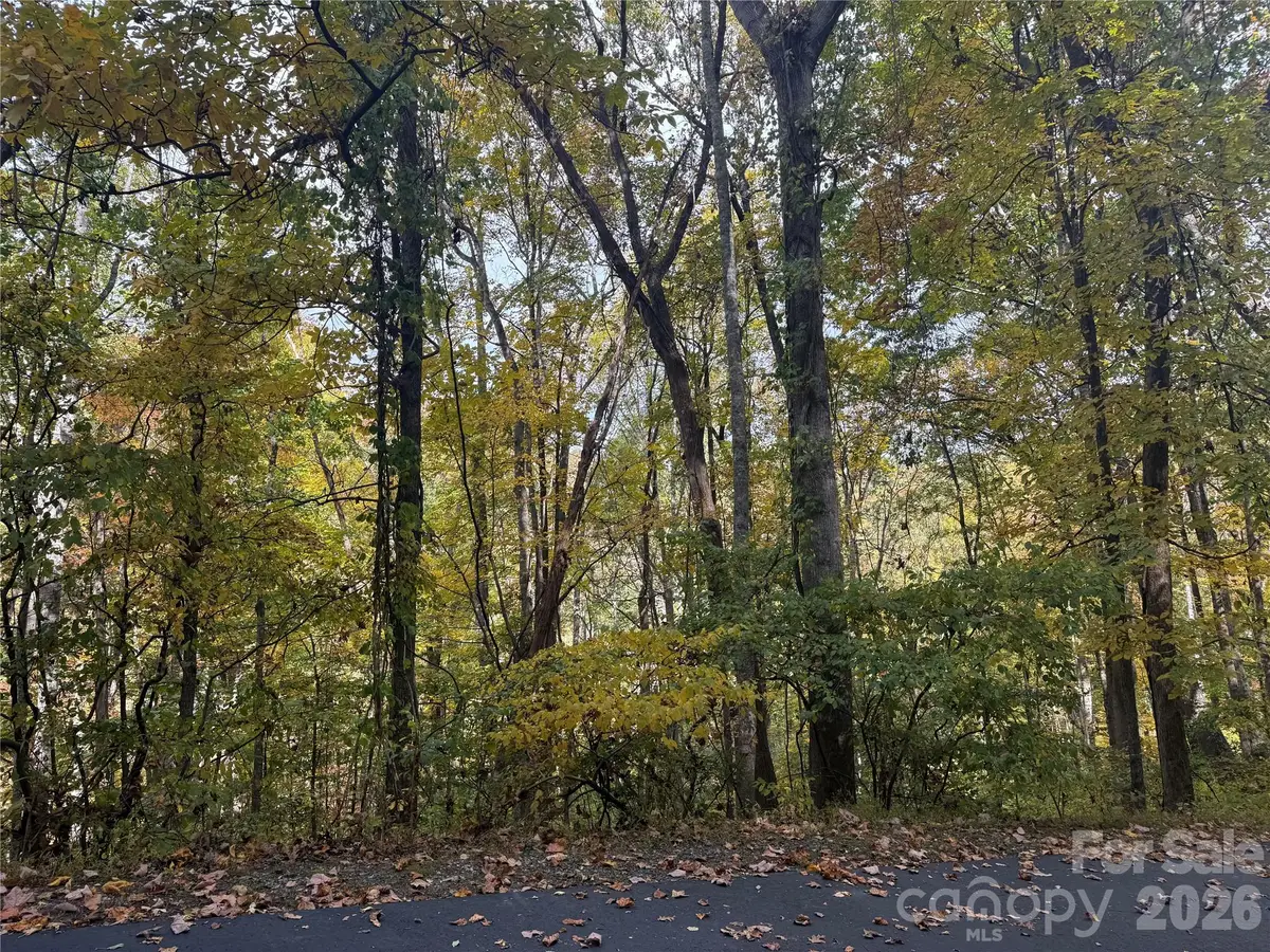 999 Whispering Woods Path, Mars Hill, NC 28754 - #1