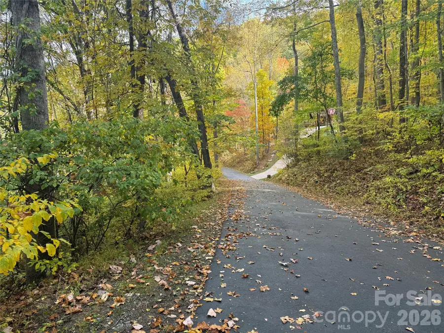 999 Whispering Woods Path, Mars Hill, NC 28754 - #3